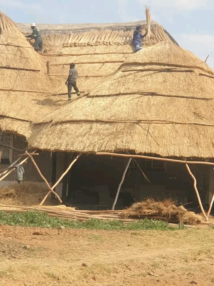 Large thatch roof structure