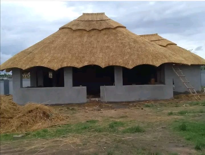 Modern thatch roof built by Lovemore Thatchers