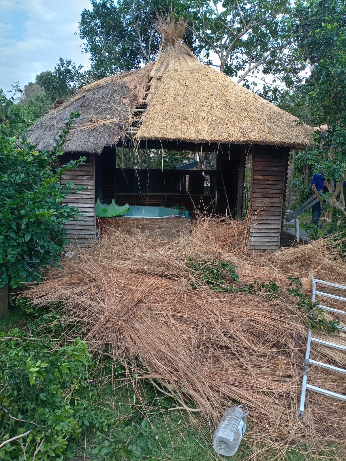 Old vs new thatch roof comparison