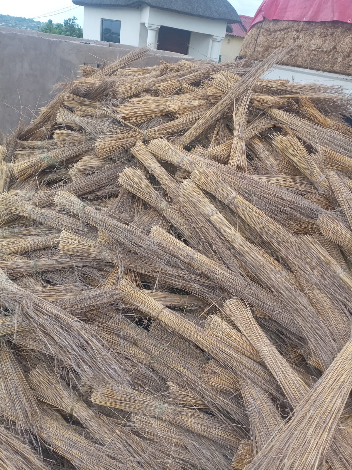Thatching grass bundles for sale